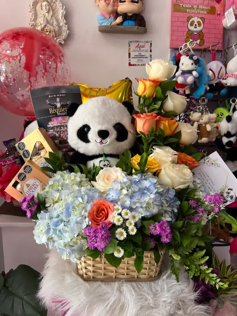 Ancheta 5